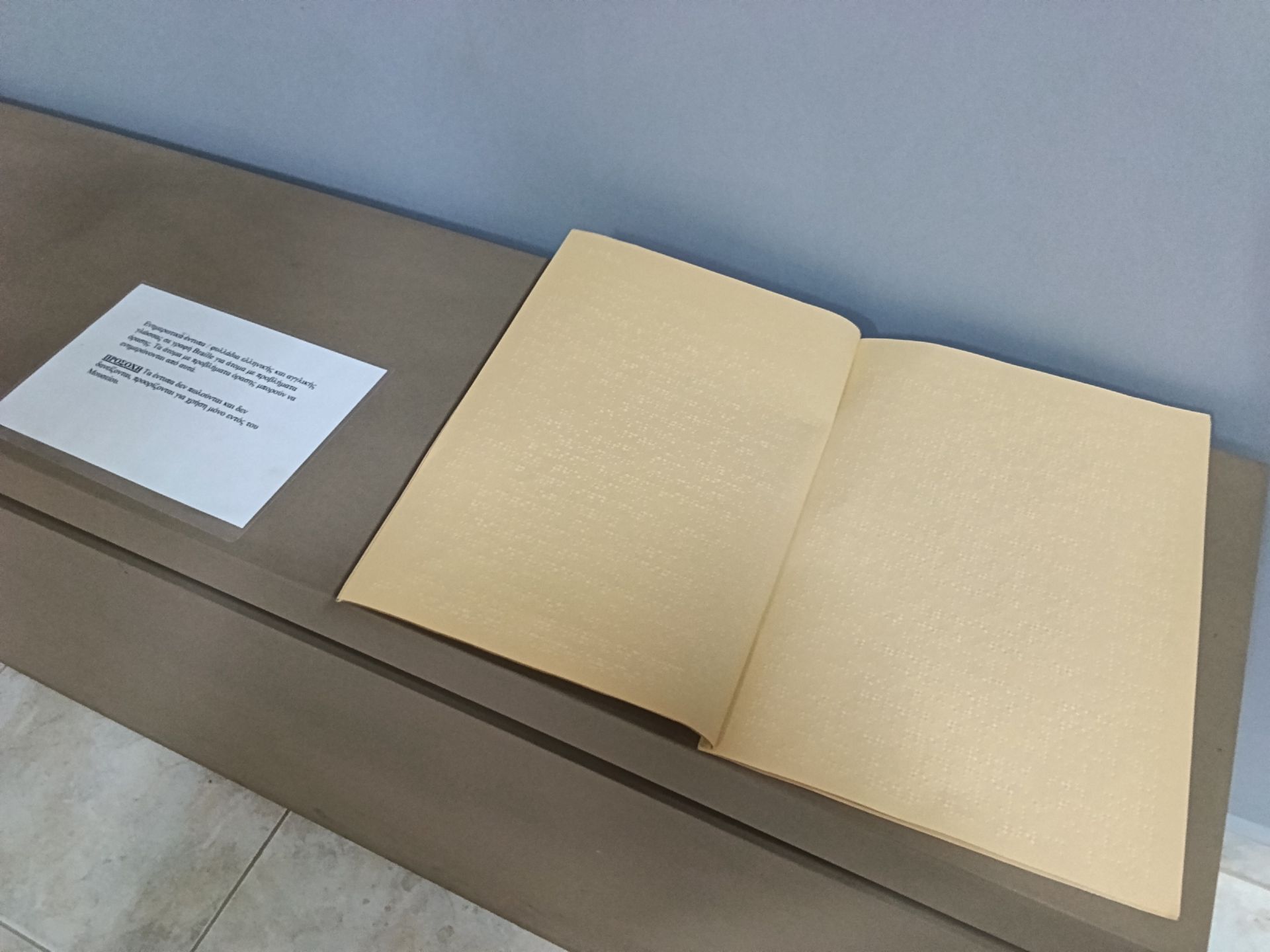 Υπάρχει ειδική ενότητα με 30 και πλέον απτικά εκθέματα αντίγραφα προς ψηλάφηση. Επιγραφές σε Μπράιγ. Και φυλλάδιο σε Μπράιγ. Βρίσκεται στο χώρο της αίθουσας εκδηλώσεων, στο υπόγειο.