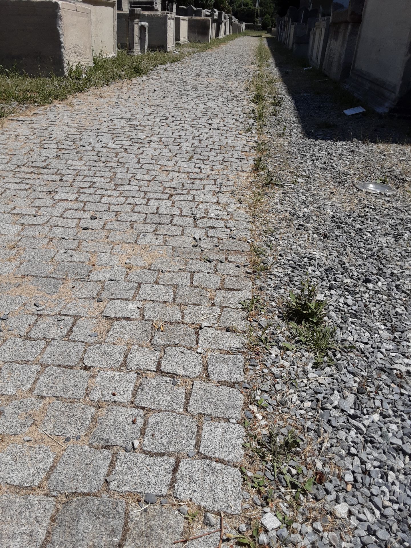 Ανωμαλιες επι εδαφους, ζητηματα συντηρησης