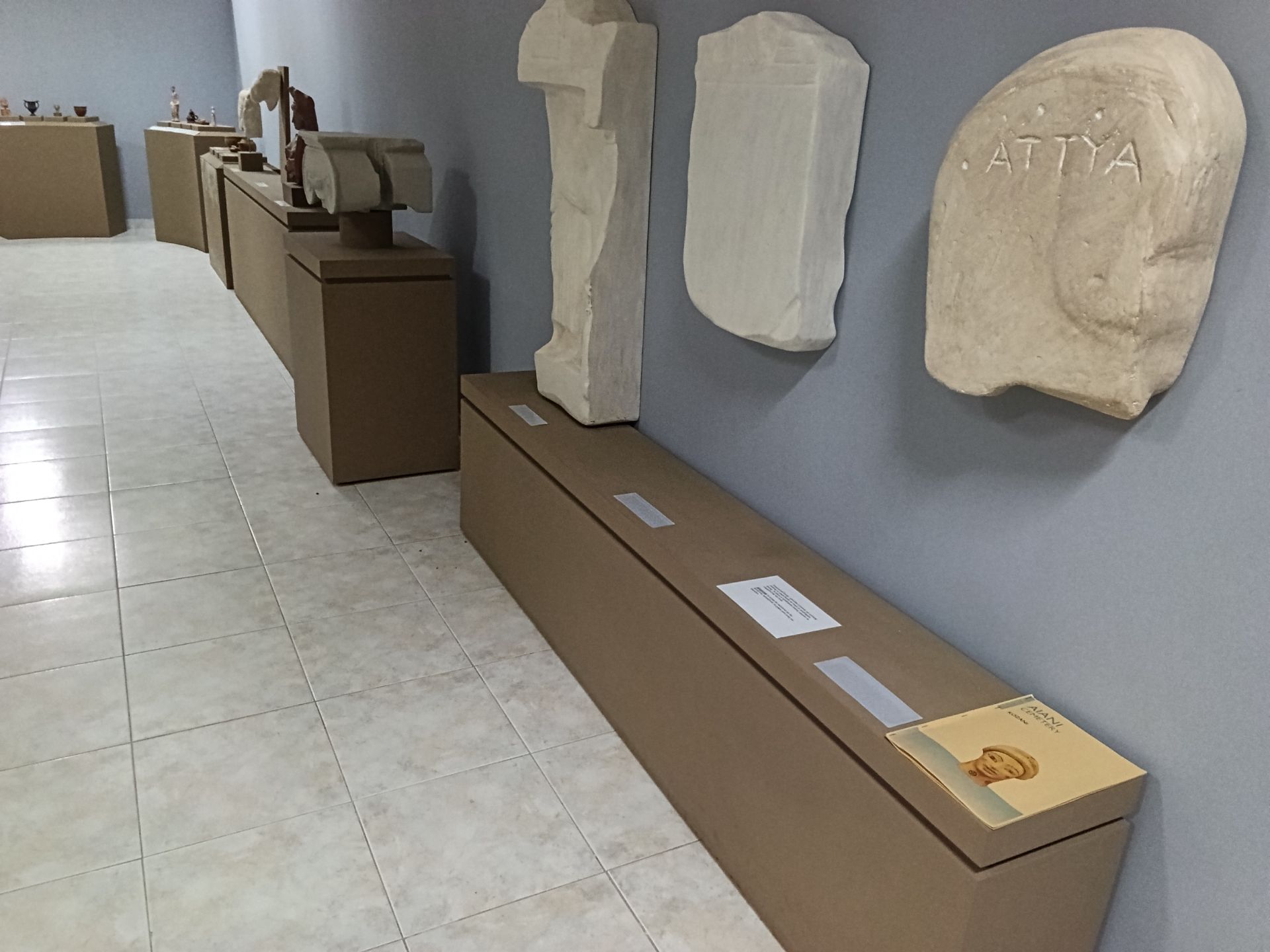 Υπάρχει ειδική ενότητα με 30 και πλέον απτικά εκθέματα αντίγραφα προς ψηλάφηση. Επιγραφές σε Μπράιγ. Και φυλλάδιο σε Μπράιγ. Βρίσκεται στο χώρο της αίθουσας εκδηλώσεων, στο υπόγειο.